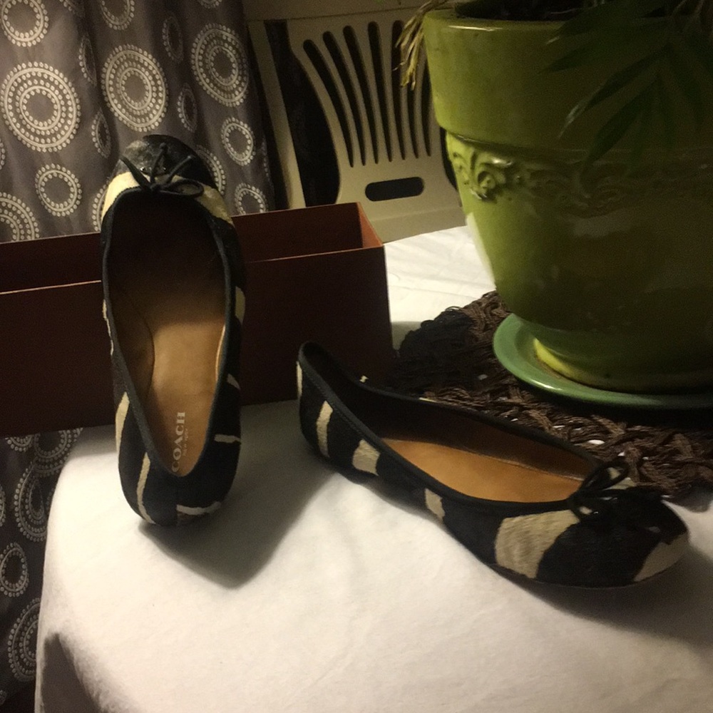 Coach Florabelle Ocelet Calfhair